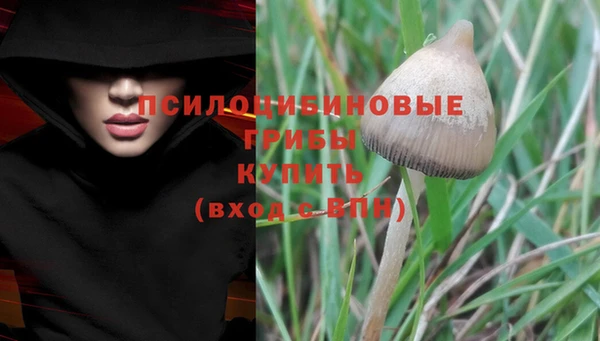 ПСИЛОЦИБИНОВЫЕ ГРИБЫ Алексеевка
