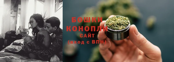ПСИЛОЦИБИНОВЫЕ ГРИБЫ Алексеевка