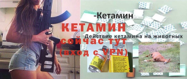 гидра Пересвет